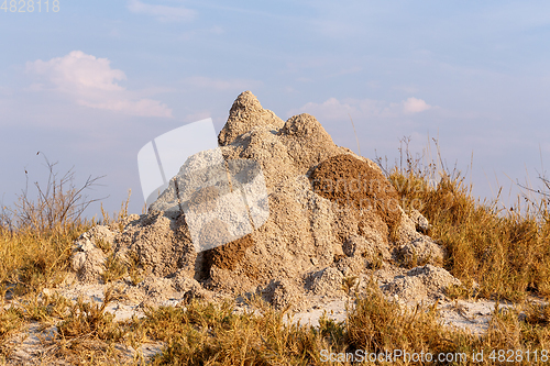 Image of termite mound in Africa