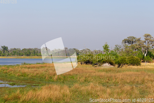 Image of Okavango detlta swamps, Botswana