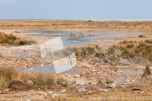 Image of landscape namibia Etosha game reserve