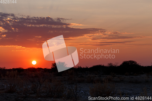 Image of landscape namibia Etosha game reserve