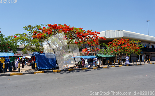 Image of Street in Francis Town, Botswana