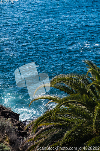 Image of beautiful view on blue ocean water and palm tree