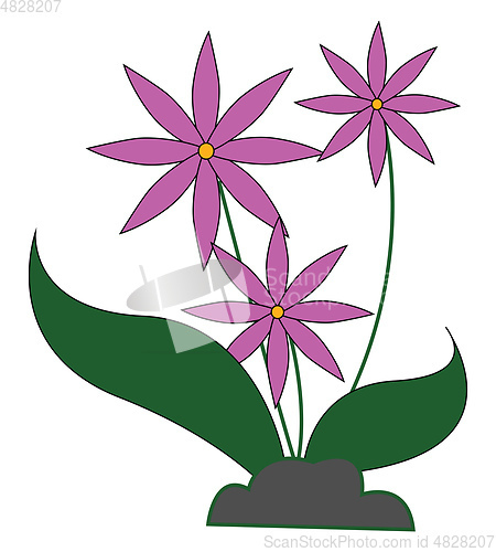 Image of Pot of pink flowers vector or color illustration