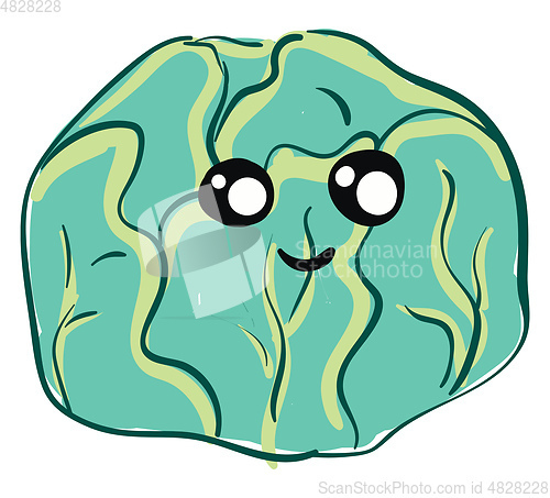 Image of Cute little cabbage 