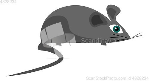 Image of Little grey mouse illustration vector on white background 