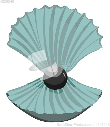Image of Pearl in the shell vector or color illustration