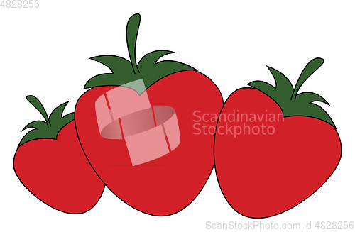 Image of Three strawberries vector or color illustration