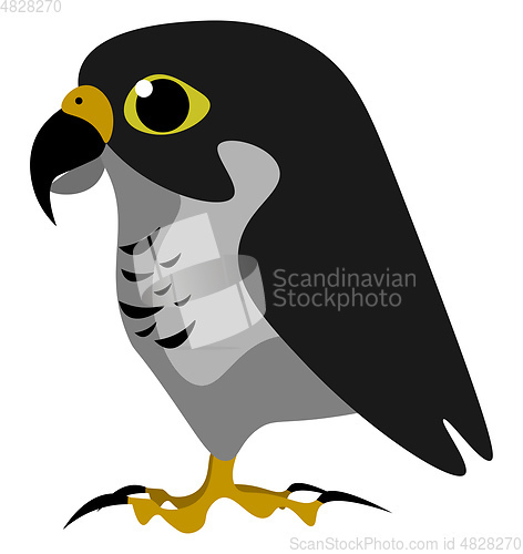 Image of The black falcon vector or color illustration