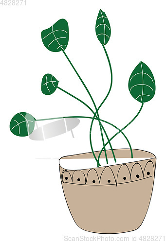Image of Rounded plant illustration vector on white background 