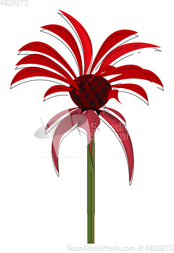 Image of Clipart of a bee balm flower vector or color illustration