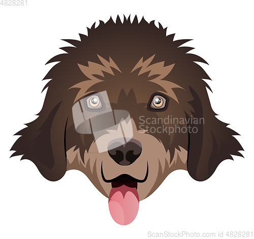 Image of New Found Land illustration vector on white background
