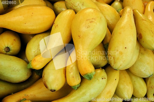 Image of Yellow squash