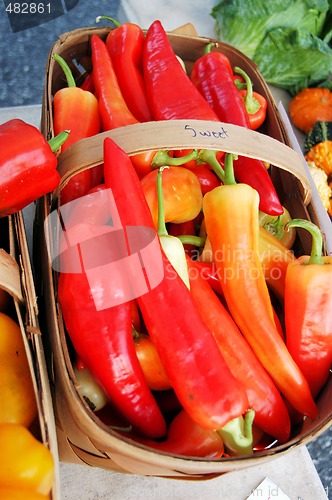 Image of Red peppers at the farmers market