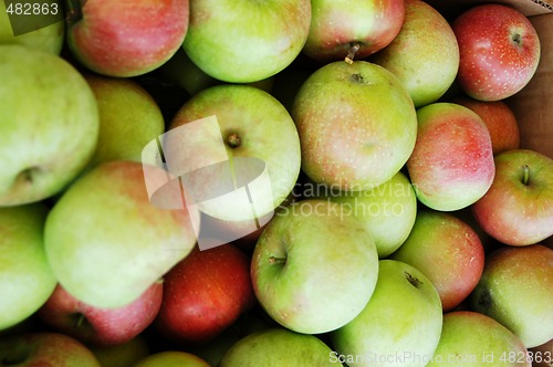 Image of Basket of apples