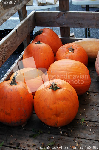 Image of Pumpkins for sale at the market