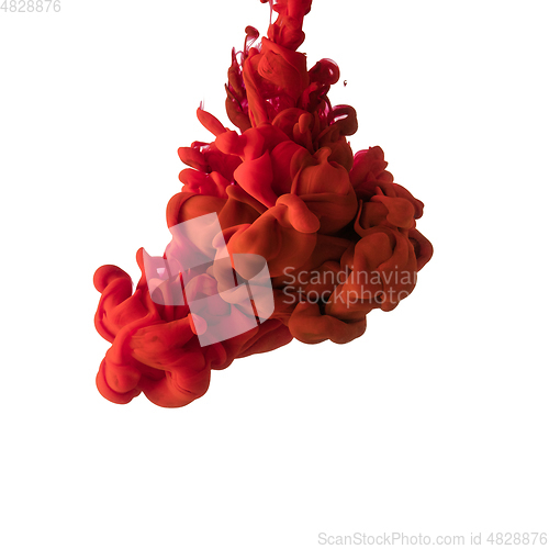 Image of Explosion of colored, fluid and neoned liquids on white studio background with copyspace