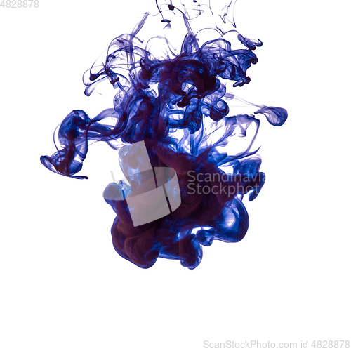 Image of Explosion of colored, fluid and neoned liquids on white studio background with copyspace