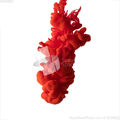 Image of Explosion of colored, fluid and neoned liquids on white studio background with copyspace