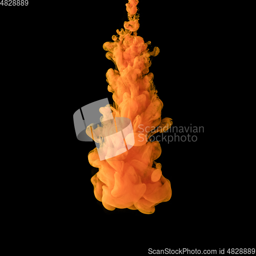 Image of Explosion of colored, fluid and neoned liquids on black studio background with copyspace