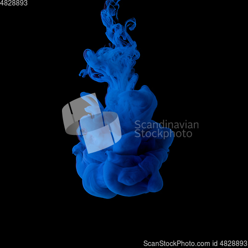 Image of Explosion of colored, fluid and neoned liquids on black studio background with copyspace