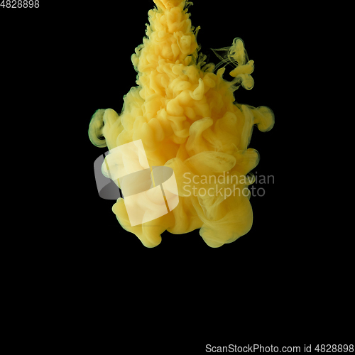 Image of Explosion of colored, fluid and neoned liquids on black studio background with copyspace