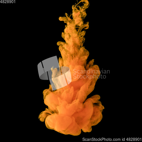 Image of Explosion of colored, fluid and neoned liquids on black studio background with copyspace