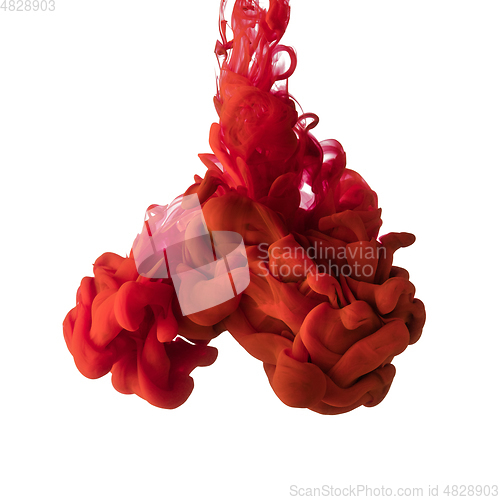 Image of Explosion of colored, fluid and neoned liquids on white studio background with copyspace