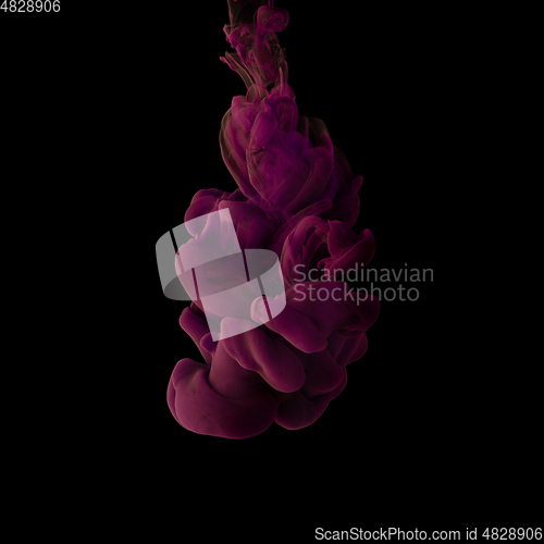 Image of Explosion of colored, fluid and neoned liquids on black studio background with copyspace