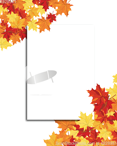 Image of Maple Frame