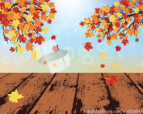 Image of Autumn background