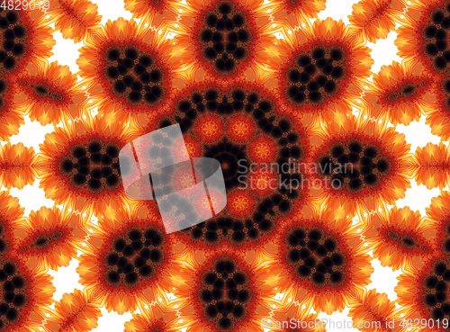 Image of Abstract flower pattern