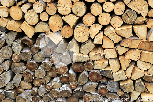 Image of Firewood pile stacked chopped wood trunks