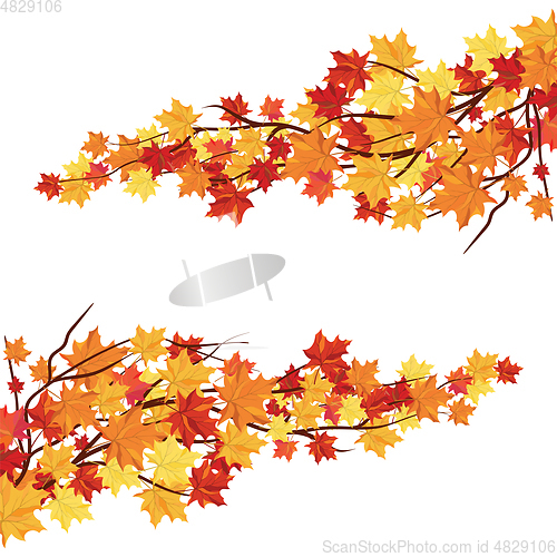 Image of Autumn  Frame
