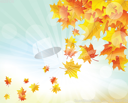 Image of Autumn  Frame