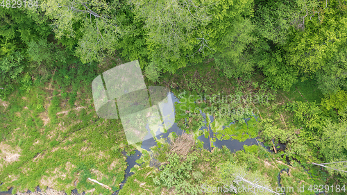 Image of Forest river with dead tree log lying over