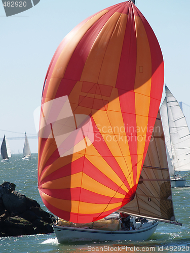 Image of Sailboat running before the wind with spinnaker sail