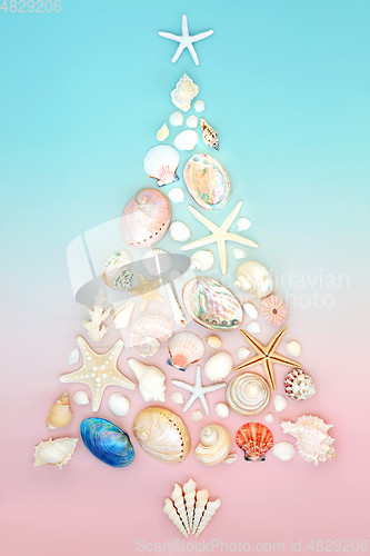 Image of Christmas Seashell Tree for the Southern Hemisphere