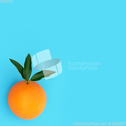 Image of Summer Sunshine Orange Citrus Fruit  