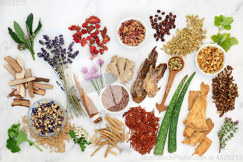 Image of Herbs Flowers and Spices used in Alternative Herbal Medicine