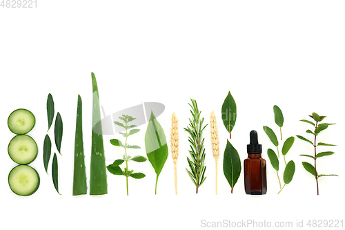 Image of Herbs for Natural Skincare Essential Oil Products