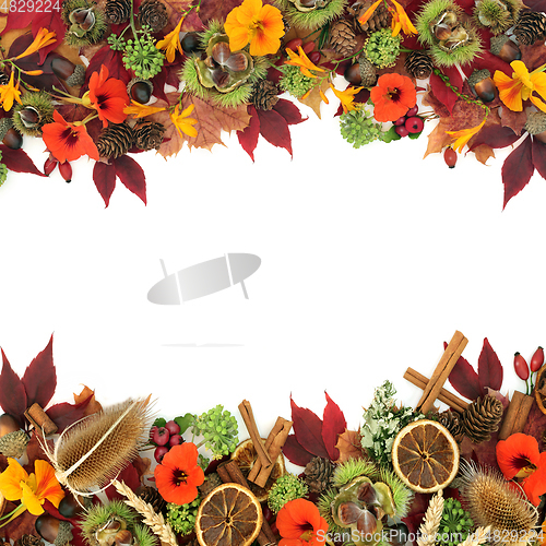 Image of Abstract Fall Natural Background Border with Traditional Flora