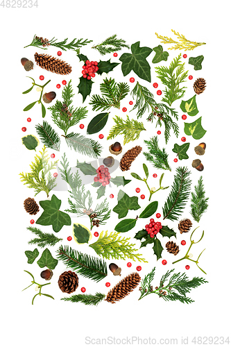Image of Winter Nature Composition with Plant Leaves and Holly Berries
