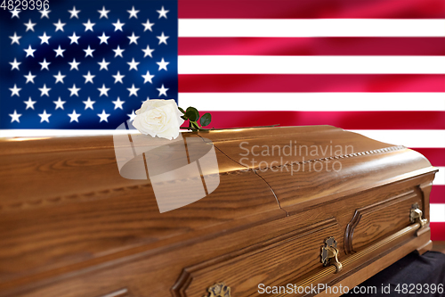 Image of white rose on wooden coffin over flag of america
