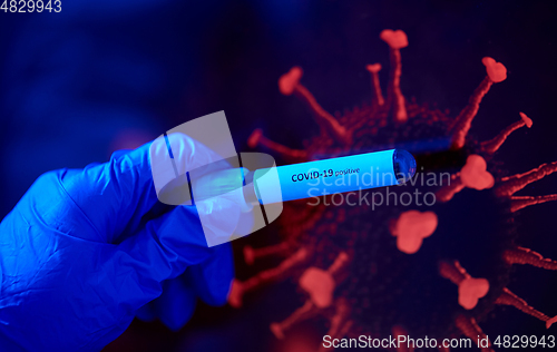 Image of hand holding beaker with coronavirus blood test