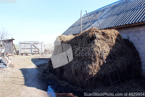 Image of heap of the dung besides the shed