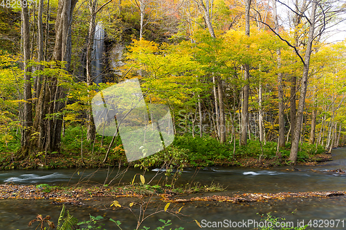 Image of Autumn season in Oirase Mountain