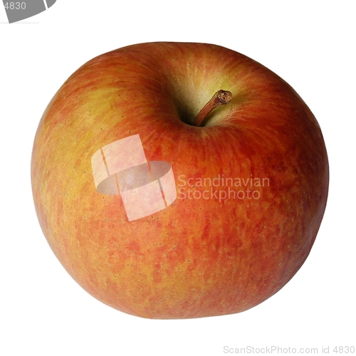 Image of Red Apple