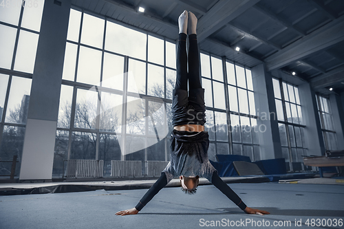 Image of Little male gymnast training in gym, flexible and active