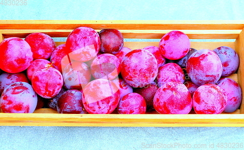 Image of Organic red plums.
