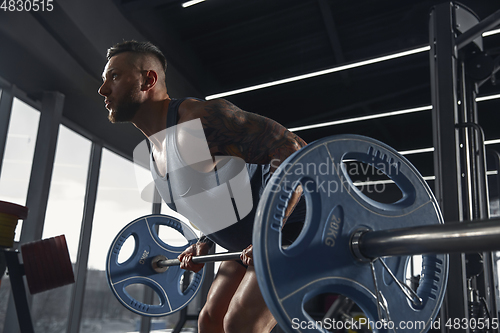 Image of The male athlete training hard in the gym. Fitness and healthy life concept.